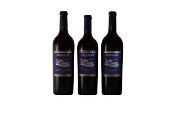 Gulrajani Holiday Trio