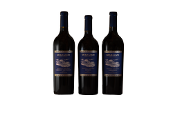 Gulrajani Holiday Six-Pack